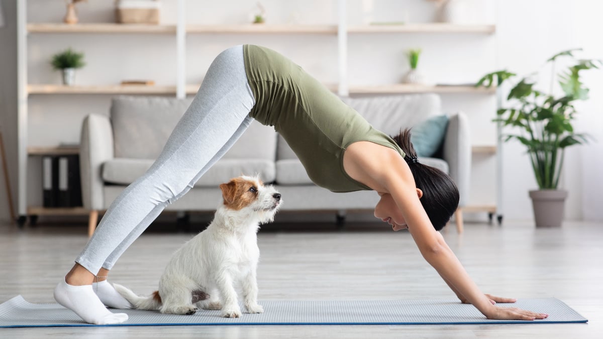 AIHM-Executive-Education-Workshop-puppy-yoga